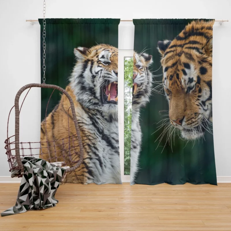 Majestic Tiger Stance Curtain