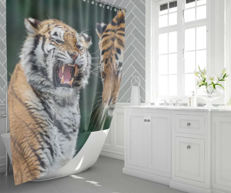 Majestic Tiger Stance Shower Curtain 1