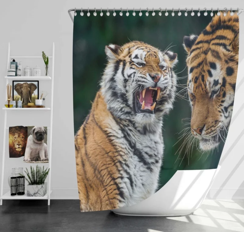 Majestic Tiger Stance Shower Curtain