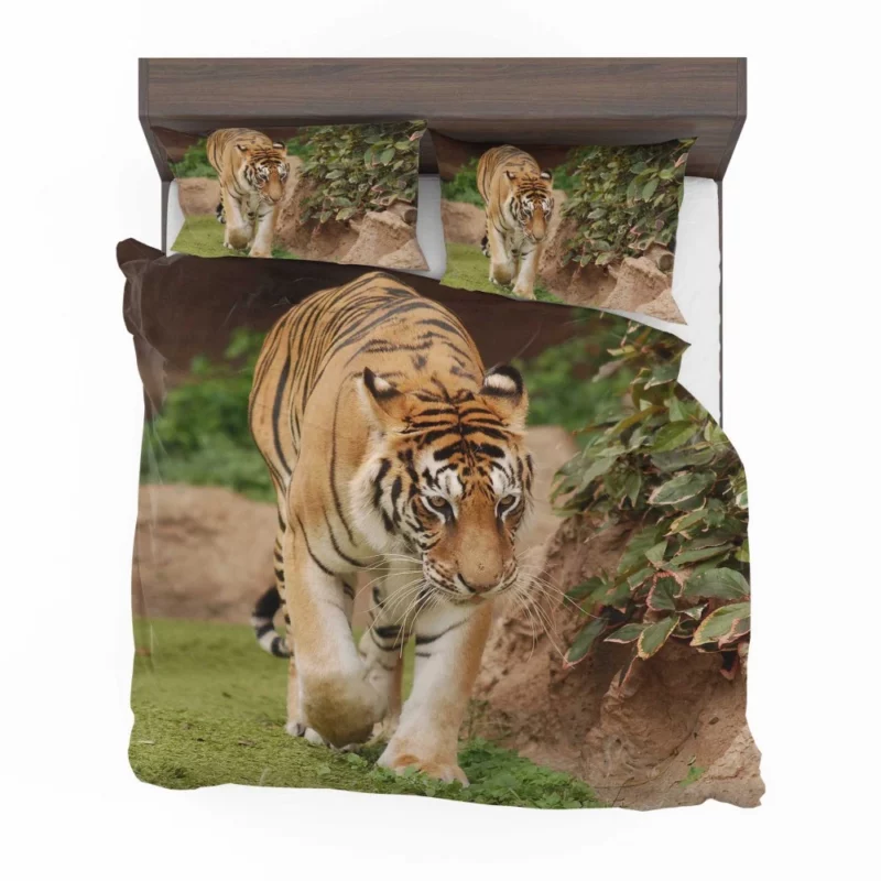 Majestic Tigers Kings of the Wild Bedding Set 1