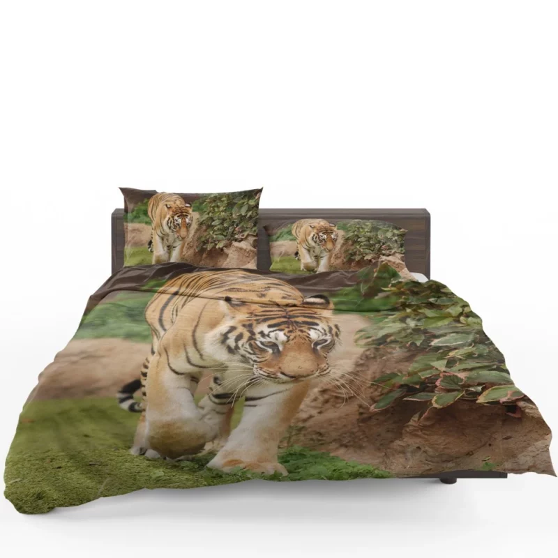 Majestic Tigers Kings of the Wild Bedding Set