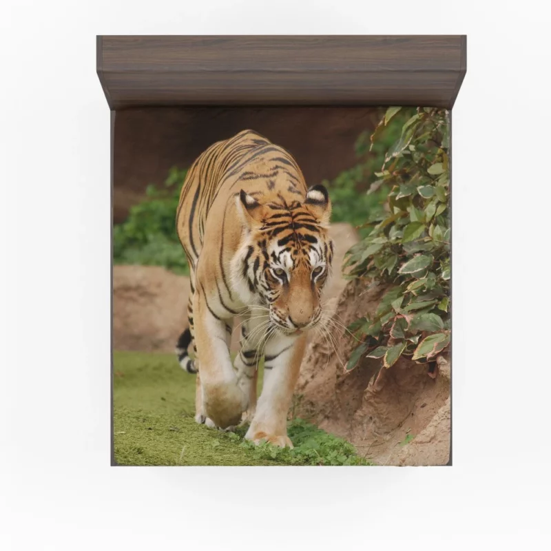 Majestic Tigers Kings of the Wild Fitted Sheet 1