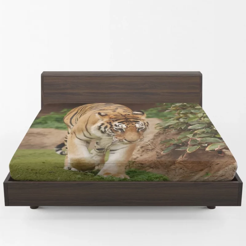 Majestic Tigers Kings of the Wild Fitted Sheet