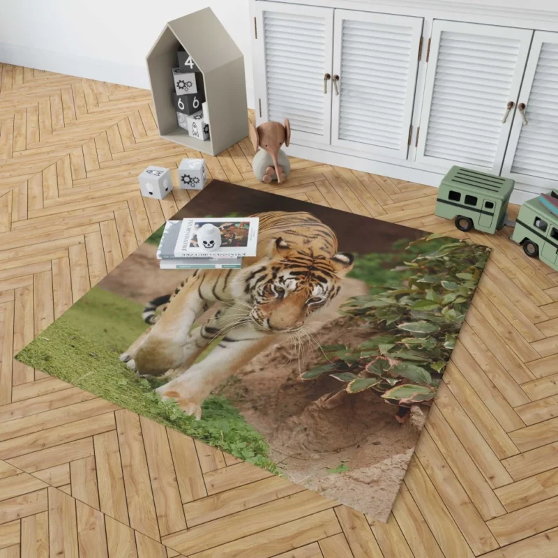 Majestic Tigers Kings of the Wild Rug 1