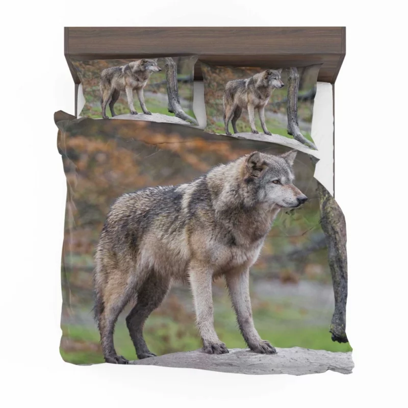 Majestic Wolf Wilderness Presence Bedding Set 1