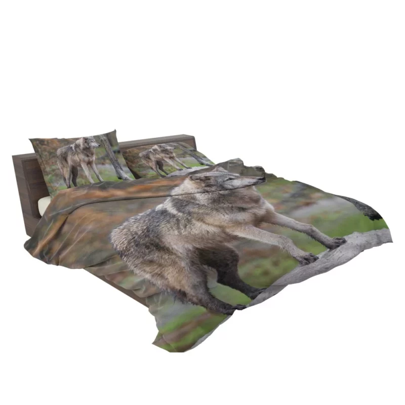 Majestic Wolf Wilderness Presence Bedding Set 2