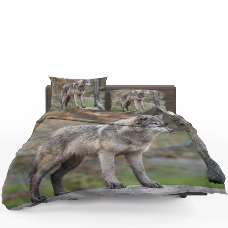 Majestic Wolf Wilderness Presence Bedding Set