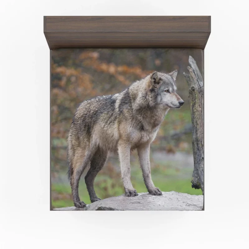 Majestic Wolf Wilderness Presence Fitted Sheet 1