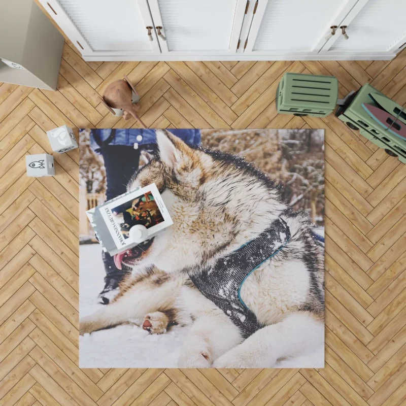 Malamute Snowy Adventure Canine Joy Rug