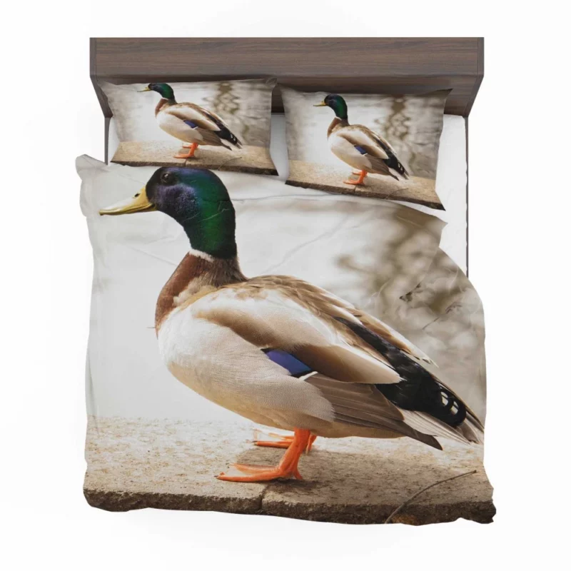 Mallard Waterside Grace Quacking Beauty Bedding Set 1