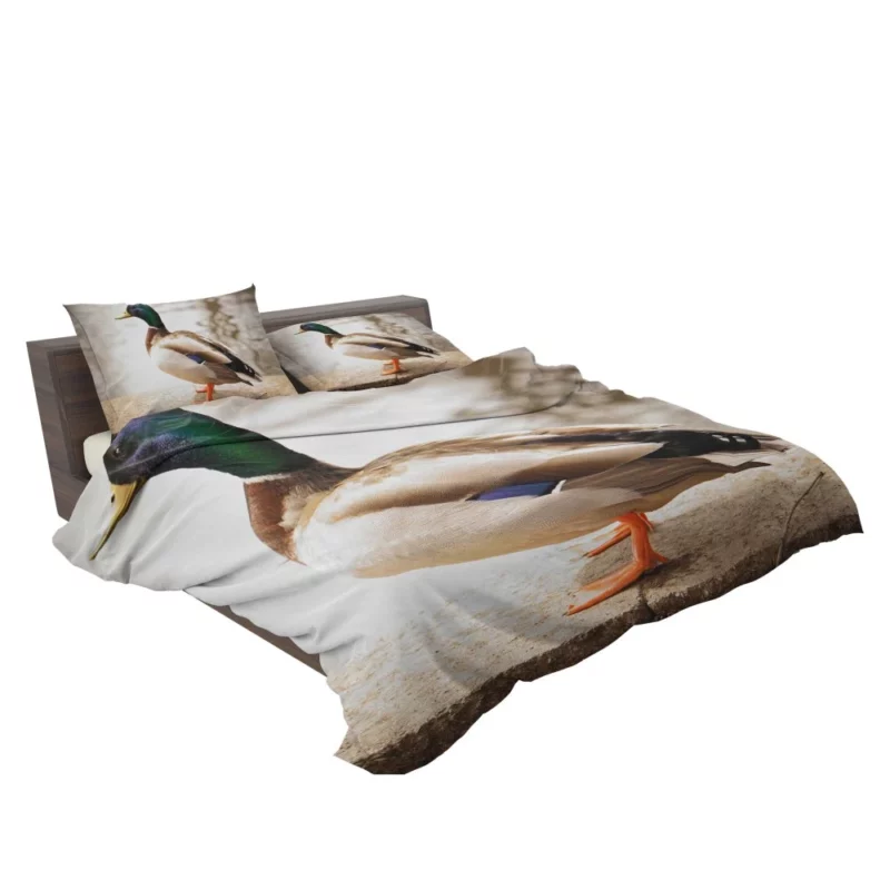 Mallard Waterside Grace Quacking Beauty Bedding Set 2