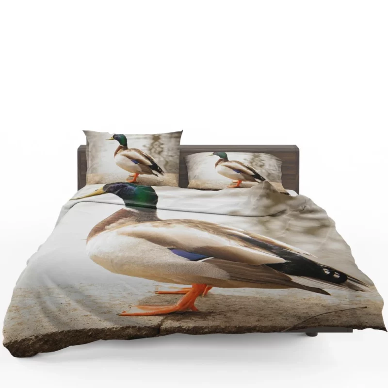 Mallard Waterside Grace Quacking Beauty Bedding Set