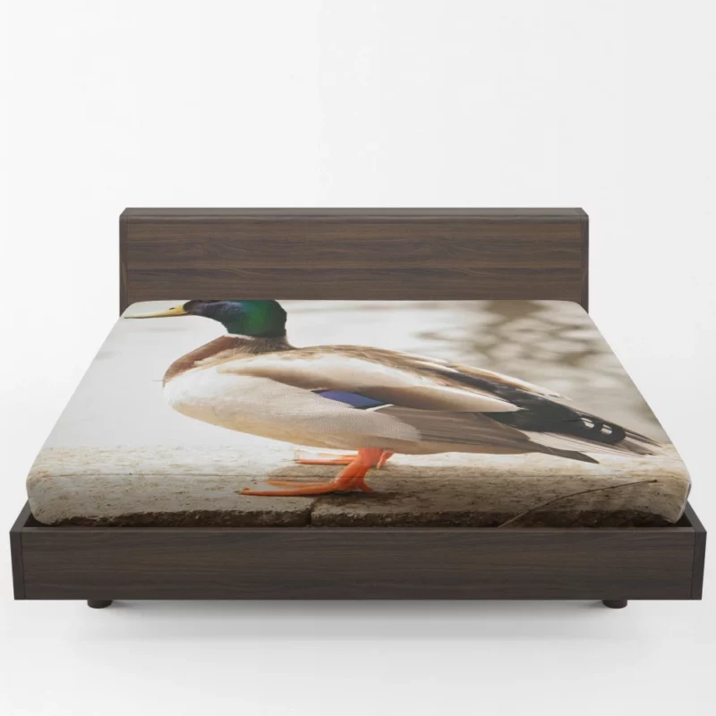 Mallard Waterside Grace Quacking Beauty Fitted Sheet