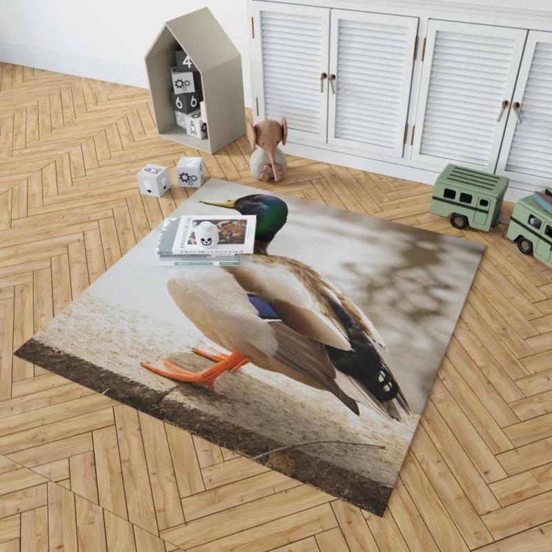 Mallard Waterside Grace Quacking Beauty Rug 1