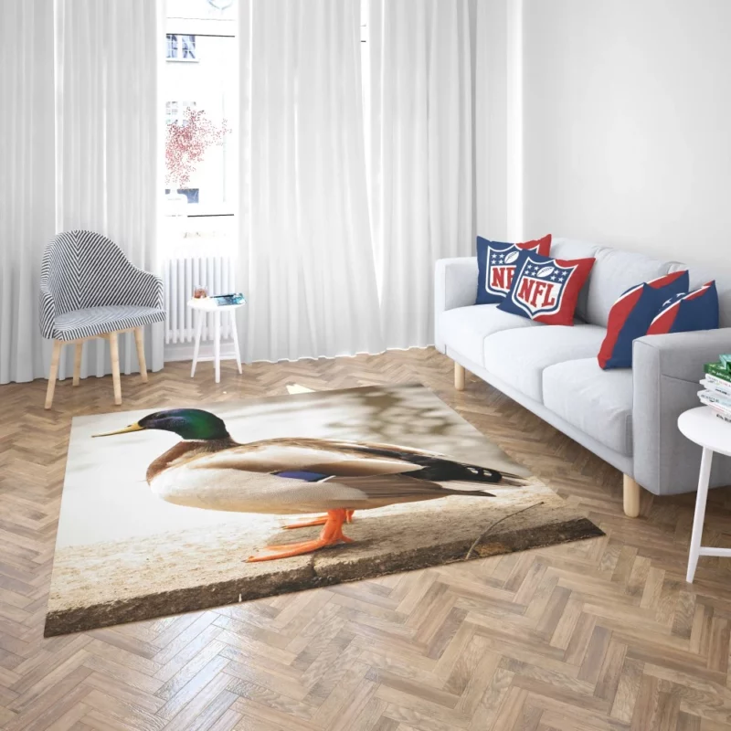 Mallard Waterside Grace Quacking Beauty Rug 2