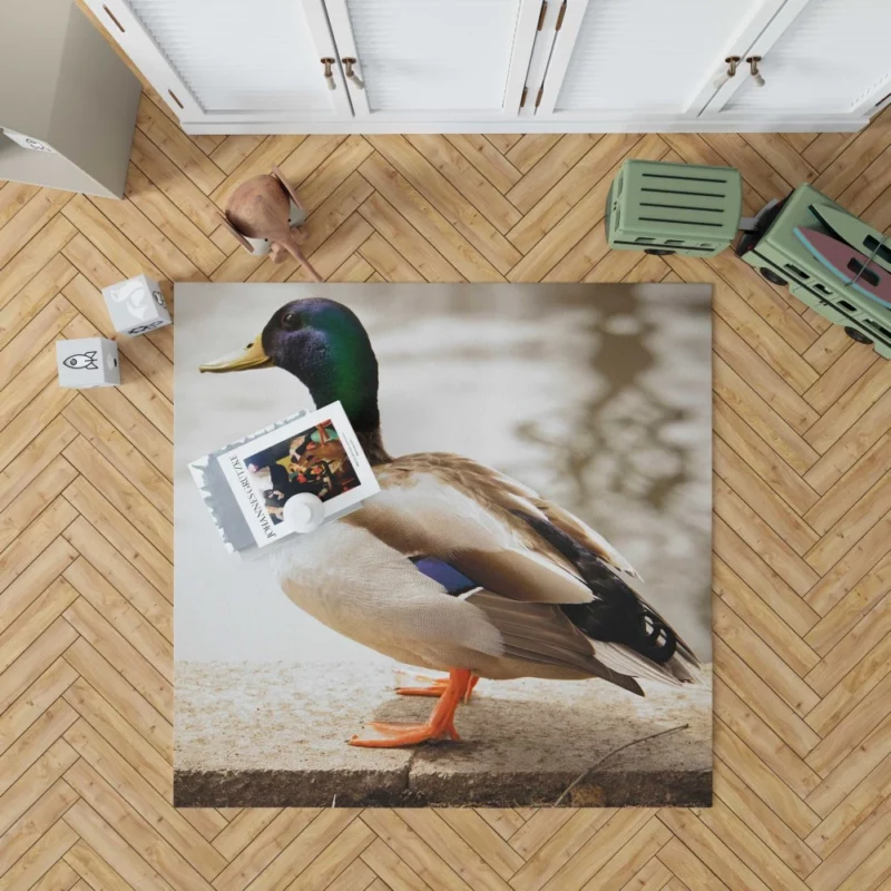 Mallard Waterside Grace Quacking Beauty Rug