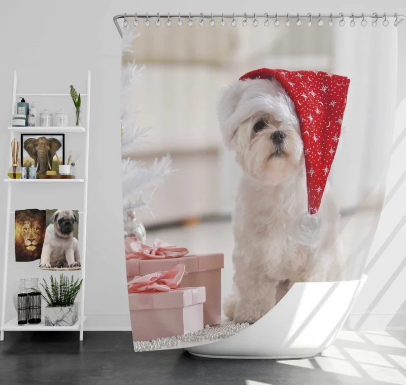 Maltese Christmas Tree Delight Shower Curtain