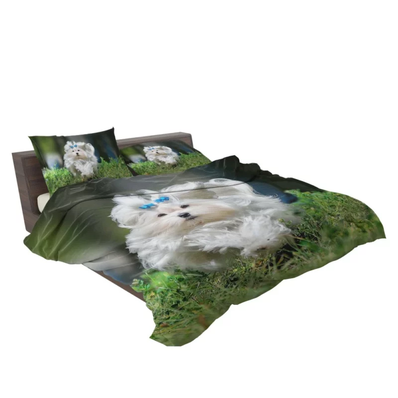 Maltese Fluffy Grace Canine Elegance Bedding Set 2