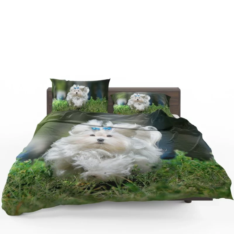 Maltese Fluffy Grace Canine Elegance Bedding Set