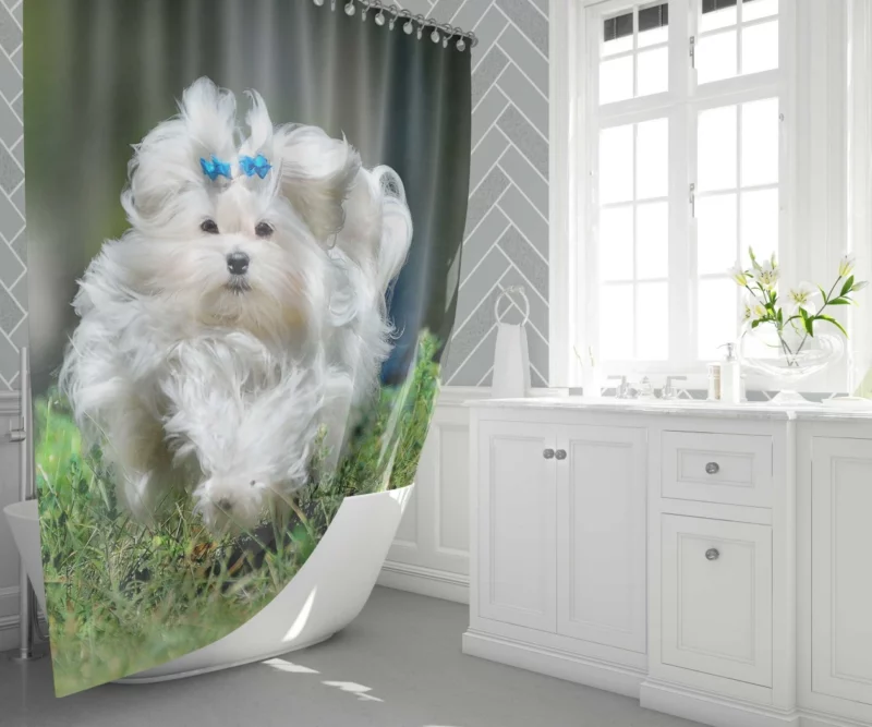 Maltese Fluffy Grace Canine Elegance Shower Curtain 1