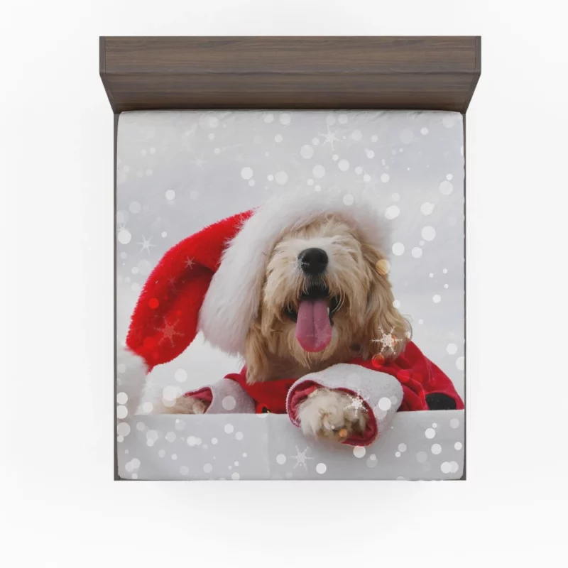 Maltese Santa Hat Bokeh Delight Fitted Sheet 1