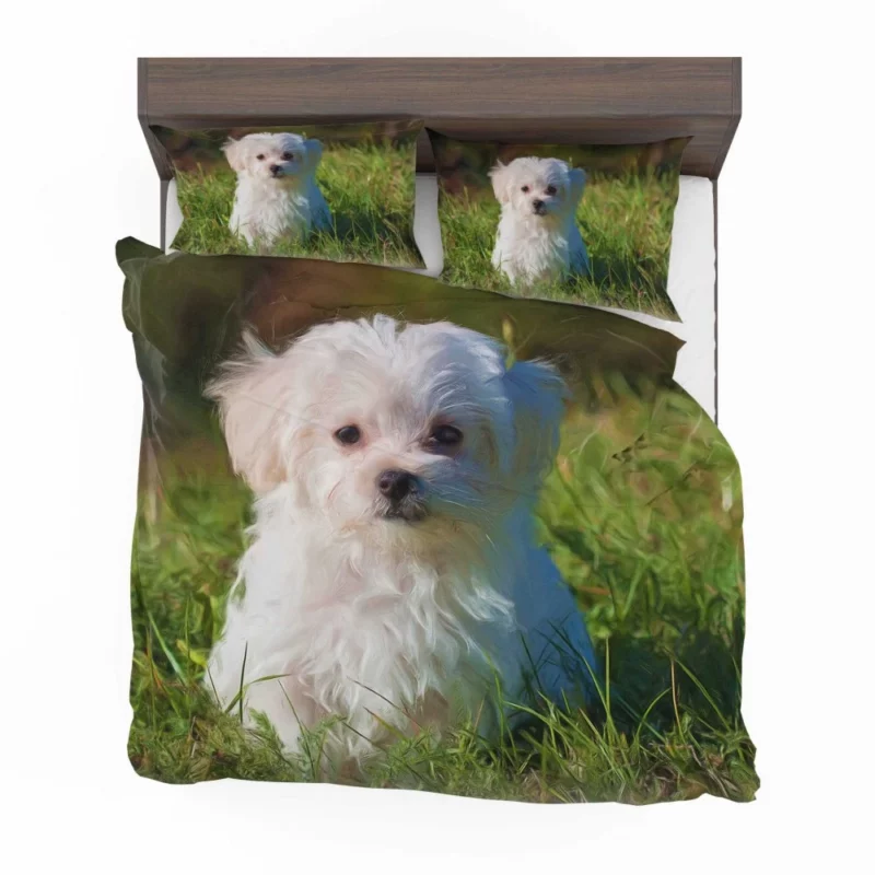 Maltese in Oil Paint Filter Artistic Whimsy Bedding Set 1