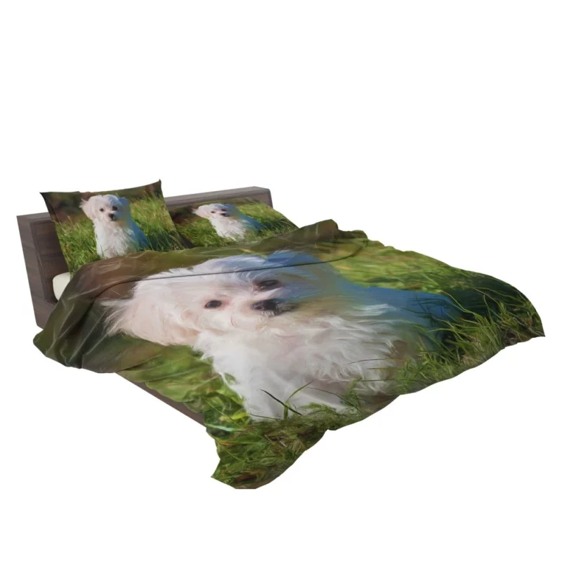 Maltese in Oil Paint Filter Artistic Whimsy Bedding Set 2