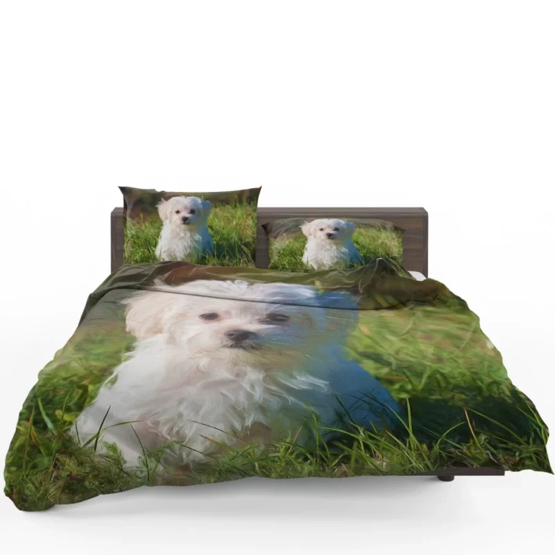 Maltese in Oil Paint Filter Artistic Whimsy Bedding Set