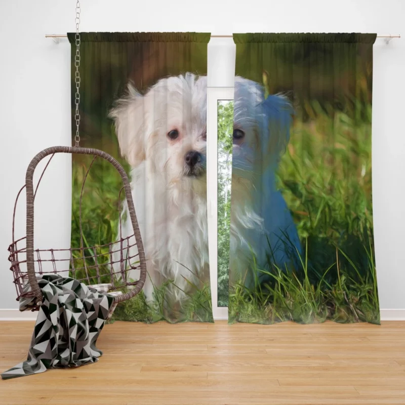 Maltese in Oil Paint Filter Artistic Whimsy Curtain