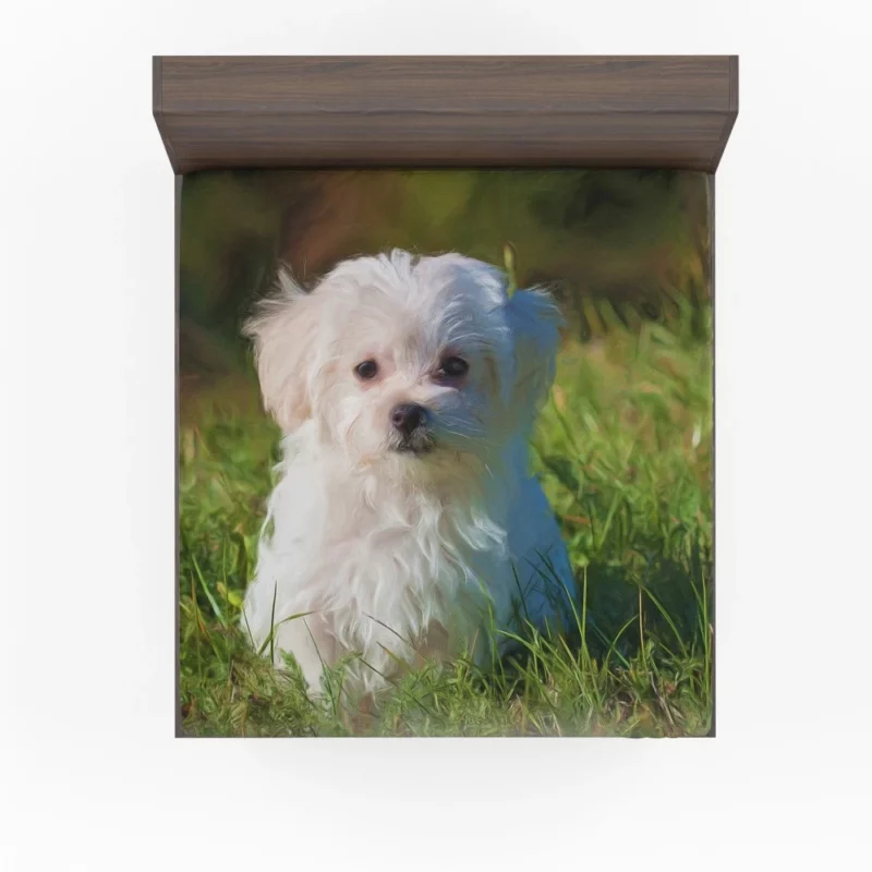 Maltese in Oil Paint Filter Artistic Whimsy Fitted Sheet 1