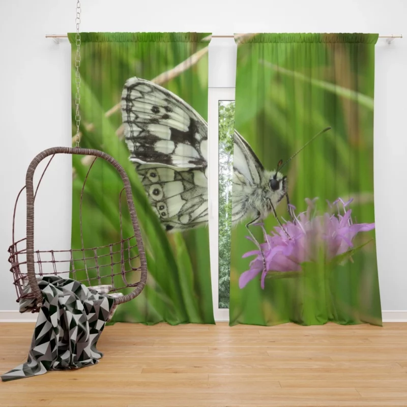 Metulj Dance Butterfly Beauty Curtain