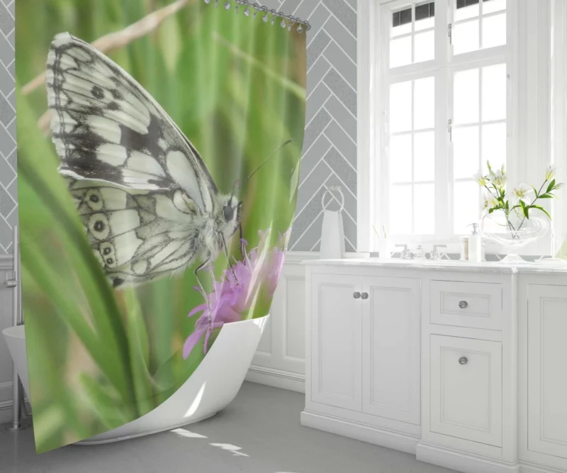 Metulj Dance Butterfly Beauty Shower Curtain 1