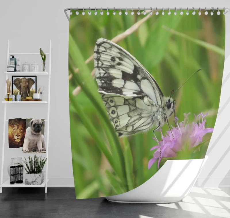 Metulj Dance Butterfly Beauty Shower Curtain