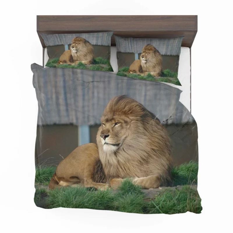 Mighty Lion Roar Bedding Set 1