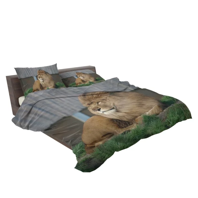 Mighty Lion Roar Bedding Set 2