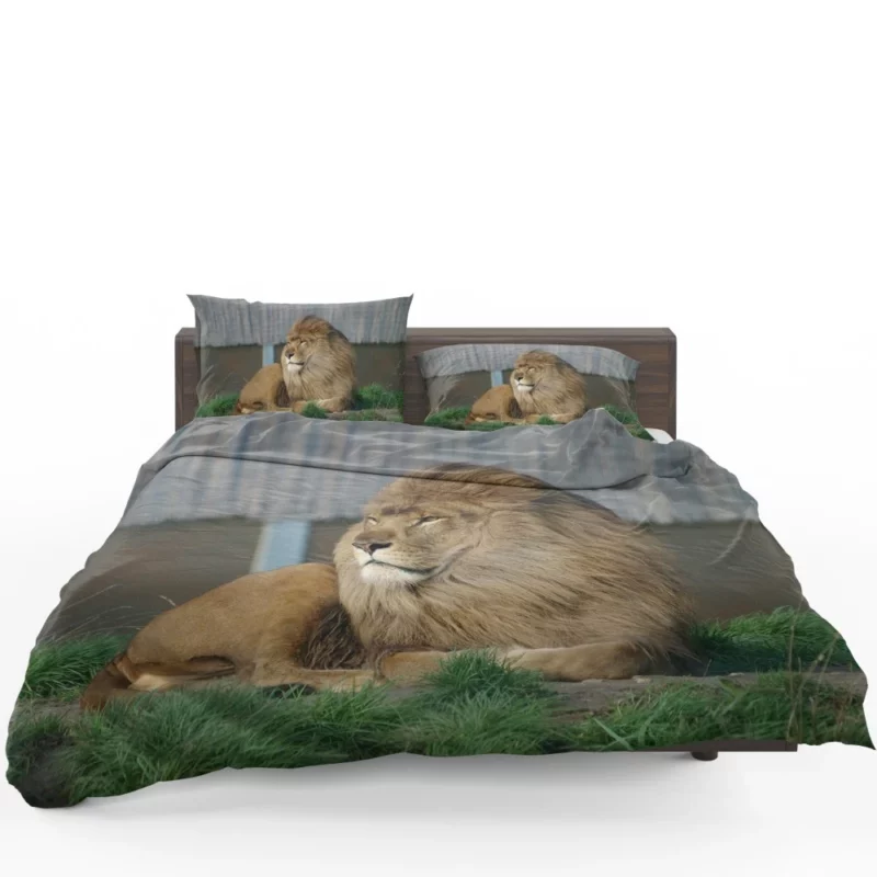 Mighty Lion Roar Bedding Set