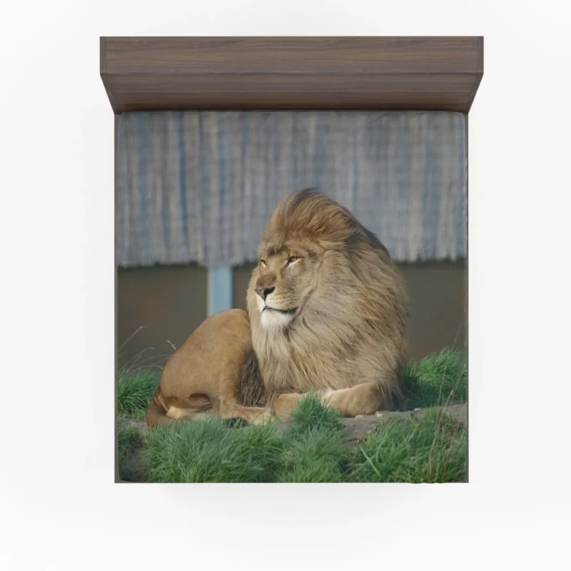 Mighty Lion Roar Fitted Sheet 1