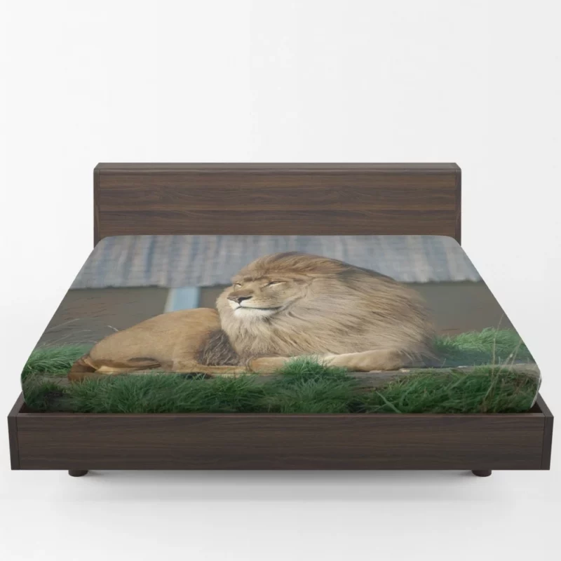 Mighty Lion Roar Fitted Sheet