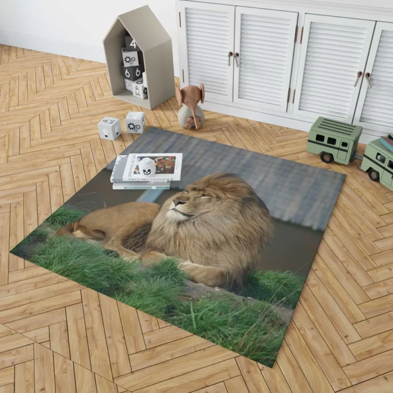 Mighty Lion Roar Rug 1