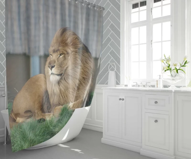 Mighty Lion Roar Shower Curtain 1