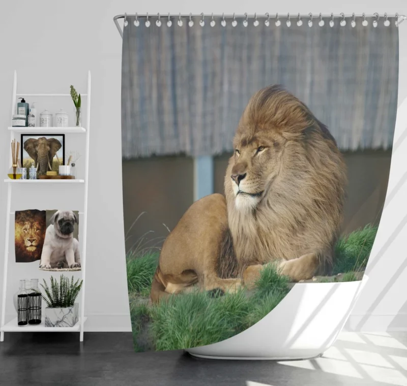 Mighty Lion Roar Shower Curtain