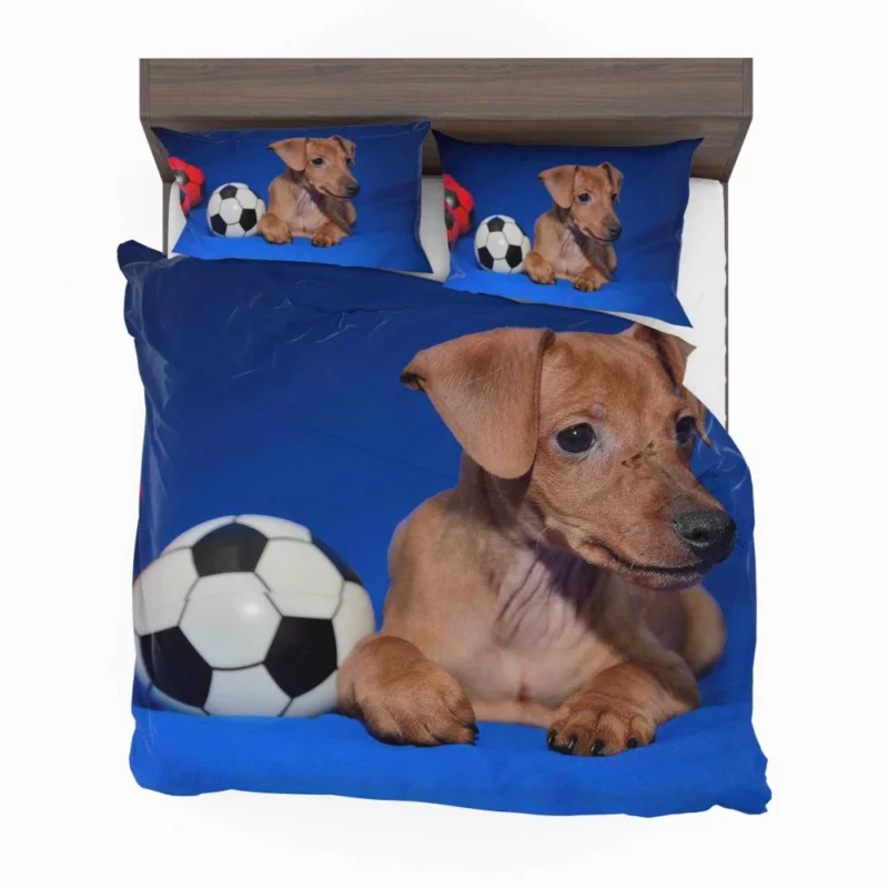 Miniature Pinscher Quirky Appeal Furry Fun Bedding Set 1