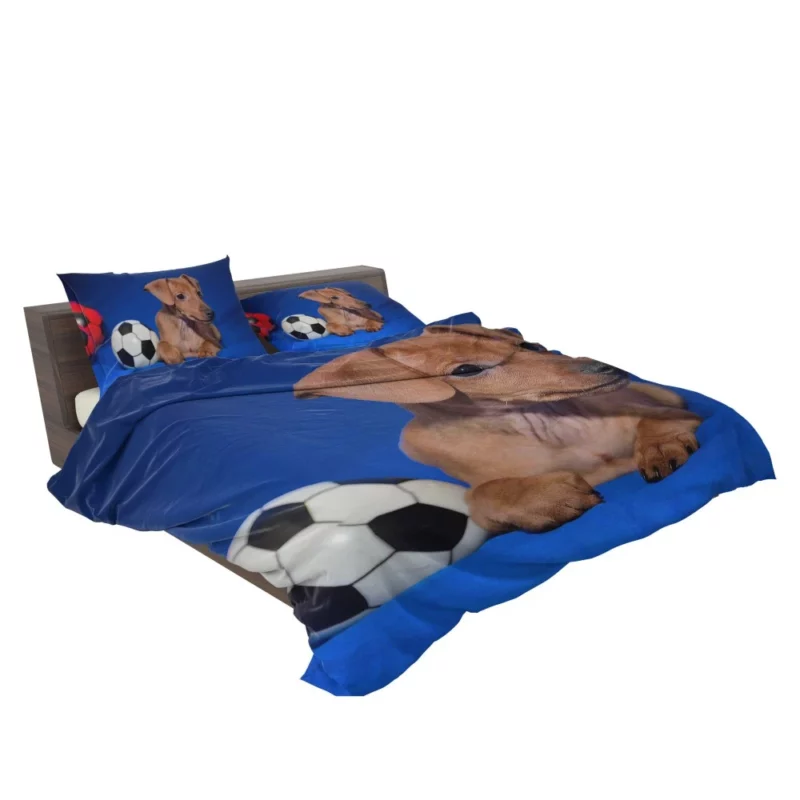 Miniature Pinscher Quirky Appeal Furry Fun Bedding Set 2