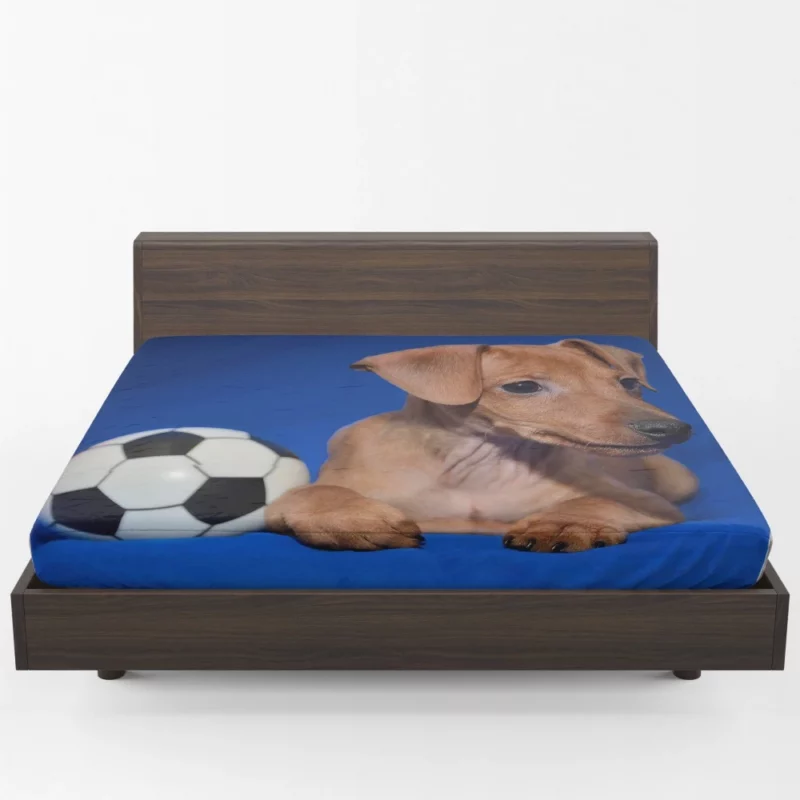 Miniature Pinscher Quirky Appeal Furry Fun Fitted Sheet