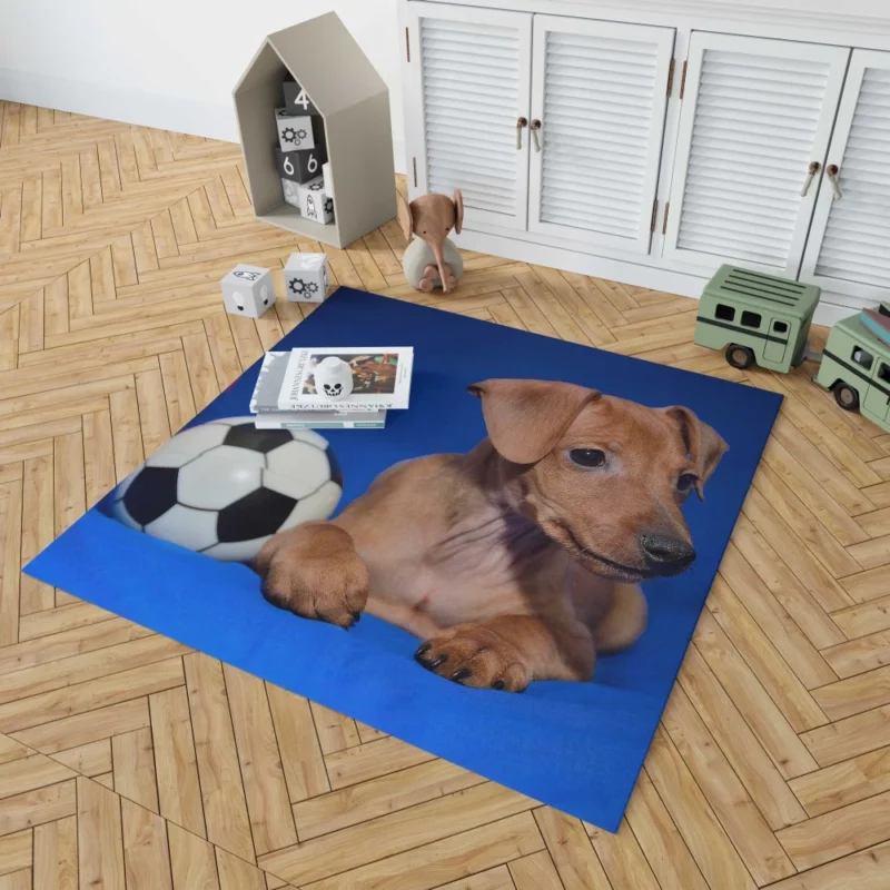 Miniature Pinscher Quirky Appeal Furry Fun Rug 1