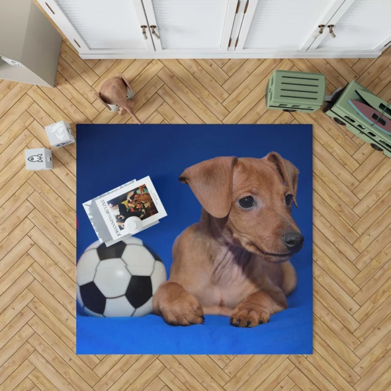 Miniature Pinscher Quirky Appeal Furry Fun Rug