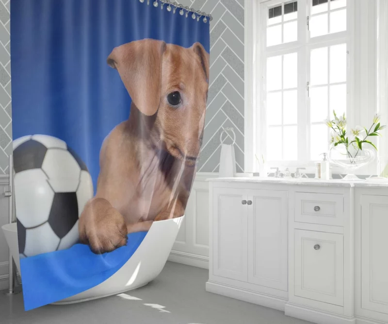 Miniature Pinscher Quirky Appeal Furry Fun Shower Curtain 1