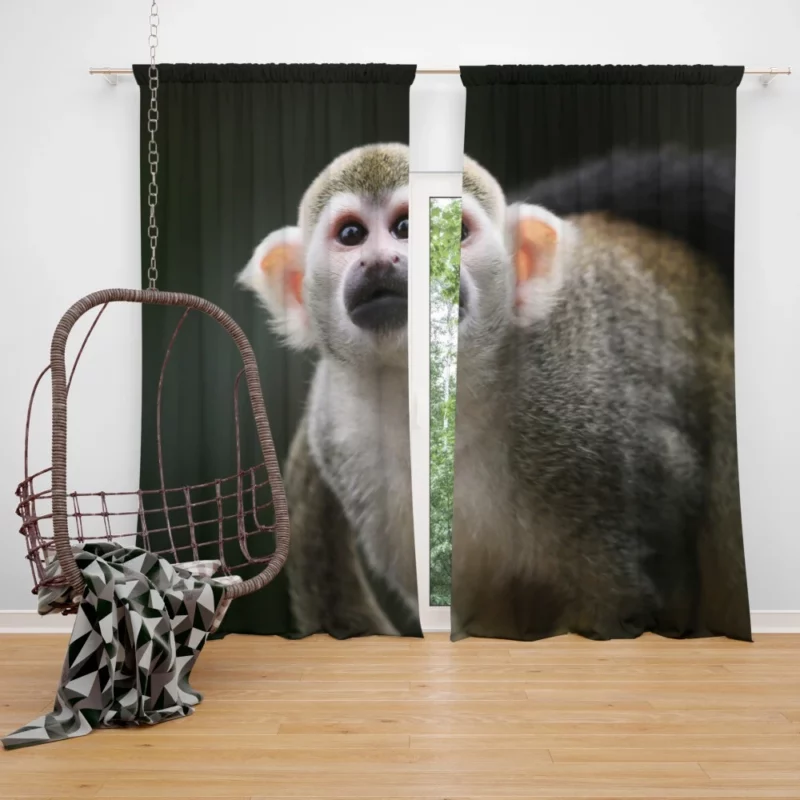 Mischievous Monkey Joyful Antics Curtain