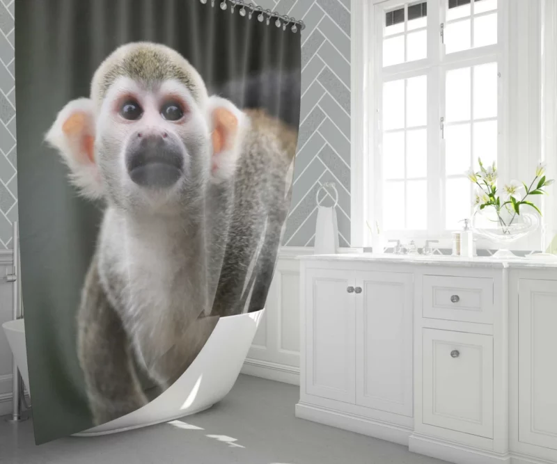 Mischievous Monkey Joyful Antics Shower Curtain 1