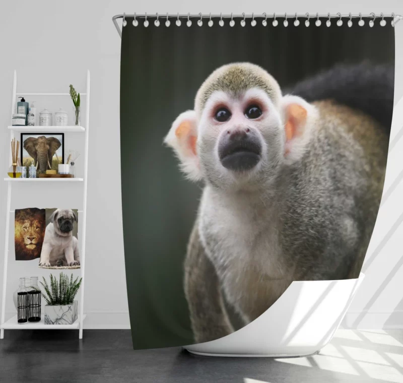 Mischievous Monkey Joyful Antics Shower Curtain